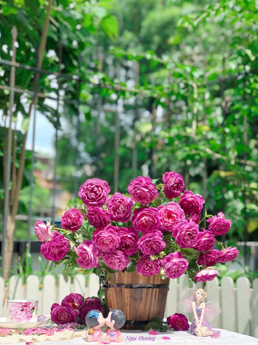 Tử vi hàng ngày - Thứ Năm 5/1/2023 của 12 cung hoàng đạo